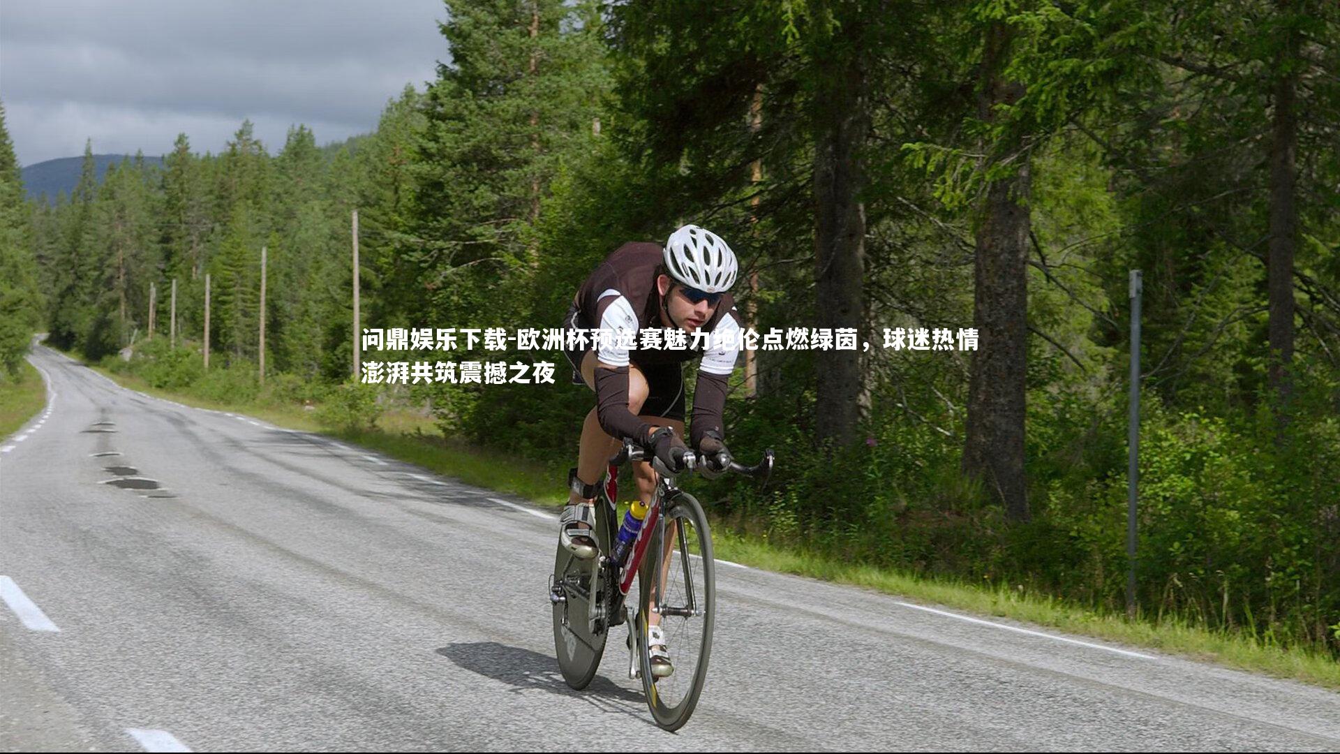 问鼎娱乐下载-欧洲杯预选赛魅力绝伦点燃绿茵，球迷热情澎湃共筑震撼之夜